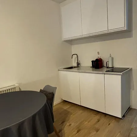 Studio Paisible, Proche Du Centre Et De La Plage! Nieuport Extérieur photo